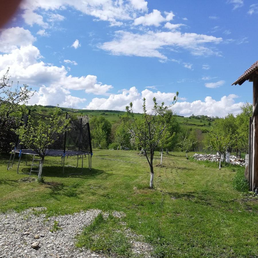Casa Din Country house