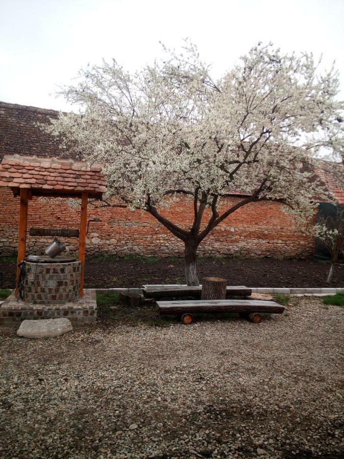 Casa Din Country house *